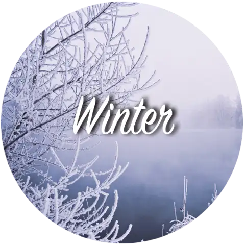 Music Playlist: Winter